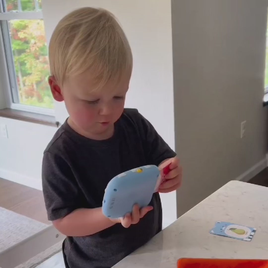Talking Flash Cards