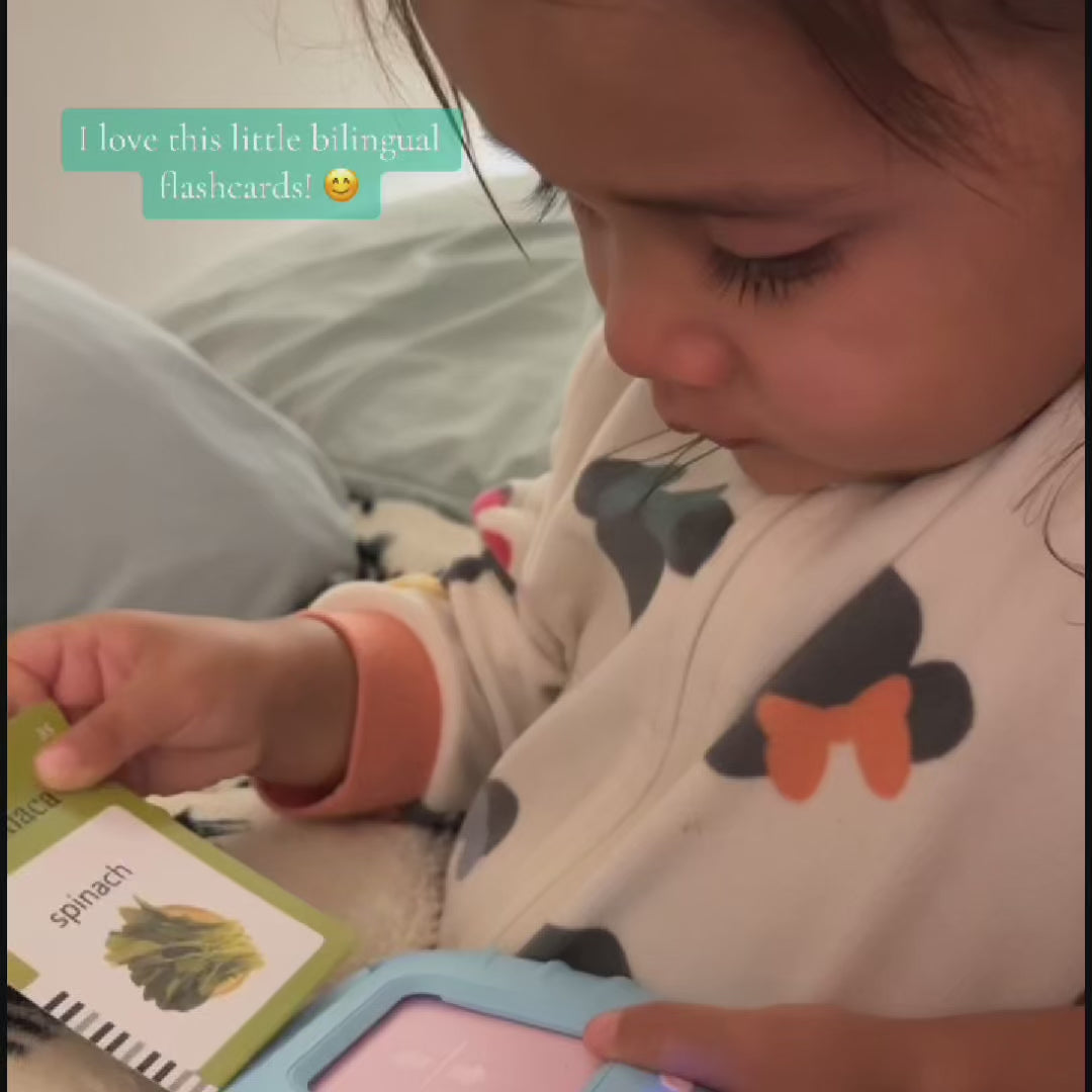 Talking Flash Cards